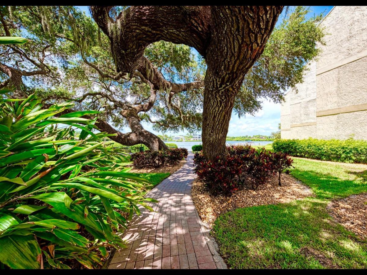 סייסטה קי Luxury Waterfront Views - Heated Pool - 1400Sf Duplex - Minutes To The Beach מראה חיצוני תמונה